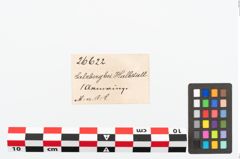 Etikett zu Bronzearmring (NHMW-PRAE-026622)